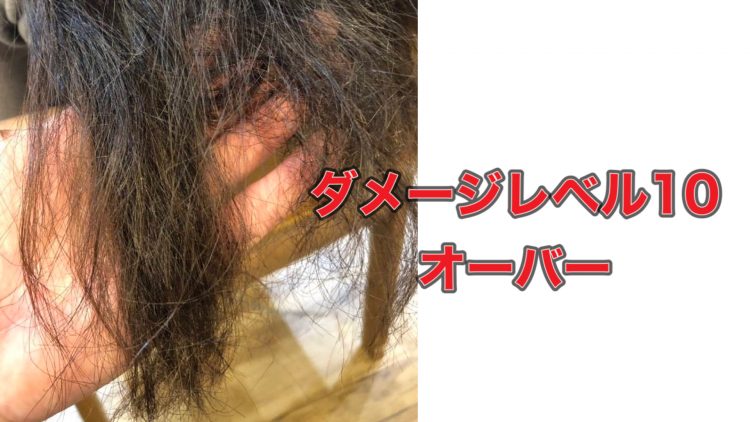 パーマ失敗 チリチリダメージの原因と解決方法 パーマ年間1000人美容師 森越 道大 公式サイト Garden所属のパーマ美容師 パーマ失敗 チリチリダメージの原因と解決方法 パーマ年間1000人美容師 森越 道大 公式サイト Garden所属のパーマ美容師