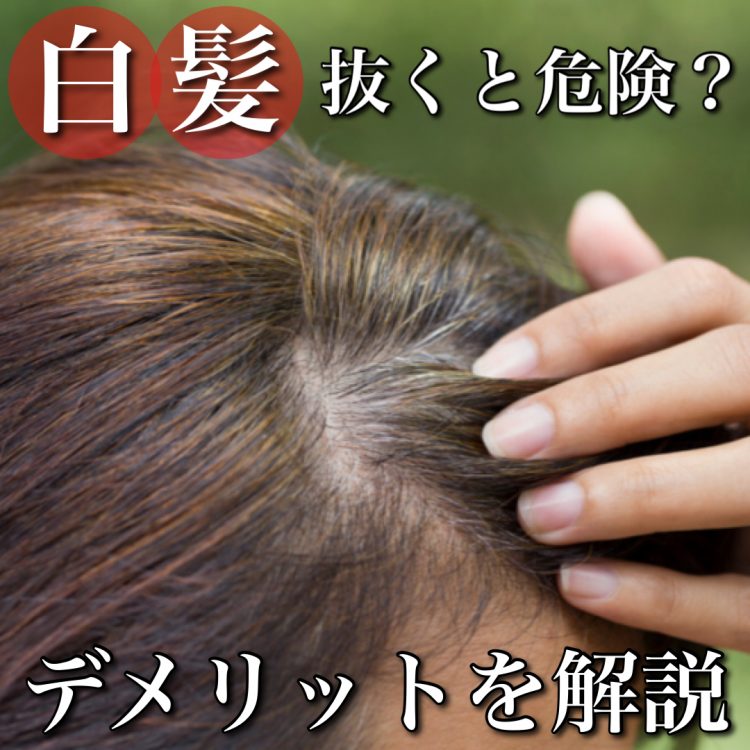 白髪を抜くと危険!美容師がデメリットを解説!抜くと増えるは本当?